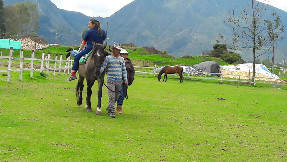 Equinoterapia