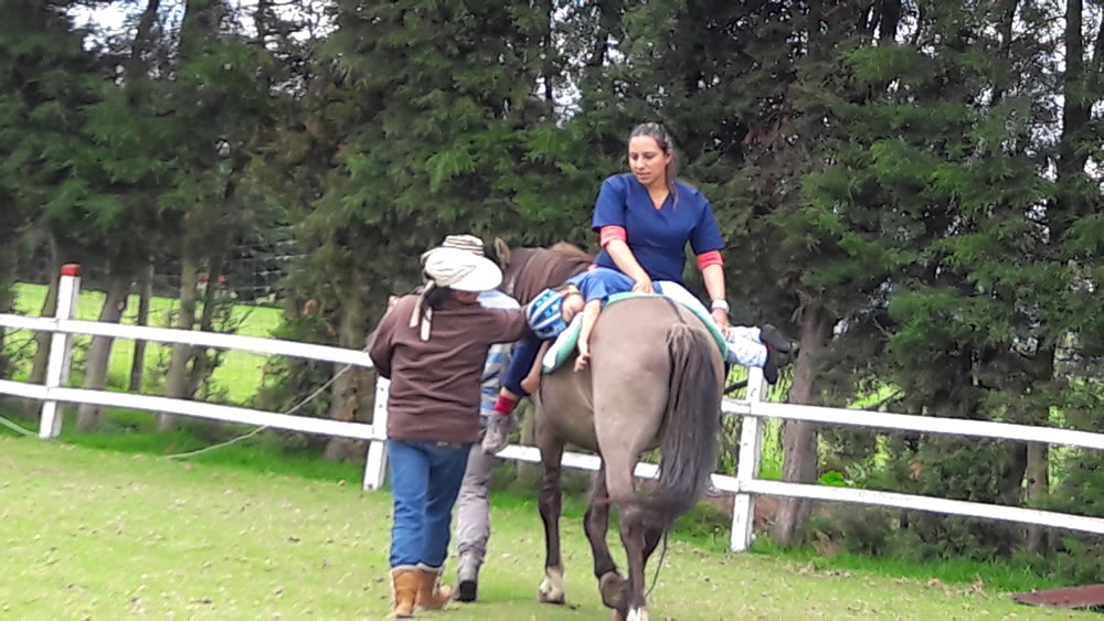 Equinoterapia